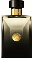 Versace_Pour_Hom_58f7cd22b76c8